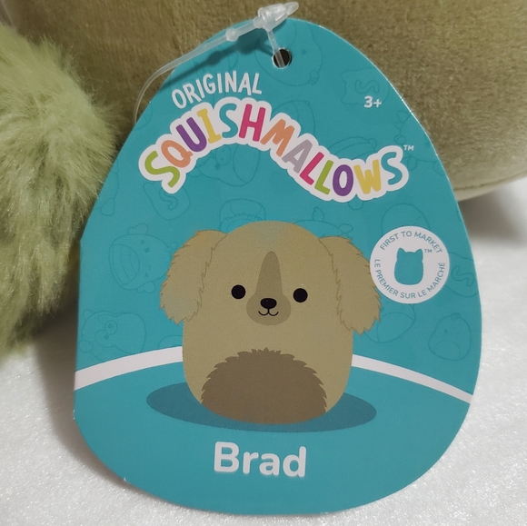 NWT Brad, 5" Green Dog Squishmallows - Picture 5 of 7